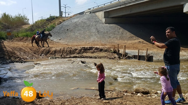 roben tabee3ar (8).JPG